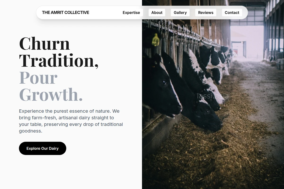 Drink Dairy